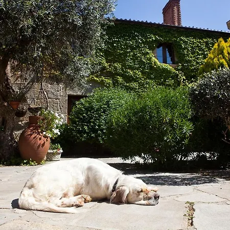 ゲストハウス Casa Grande La Almuina Arbo